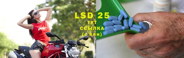 гидра Инсар