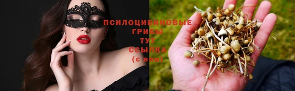 гидра Инсар