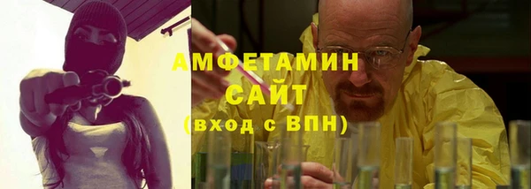 гидра Инсар