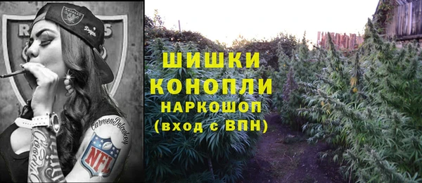 гидра Инсар