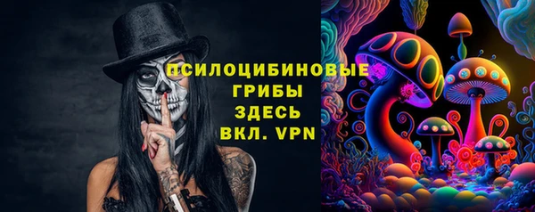 гидра Инсар