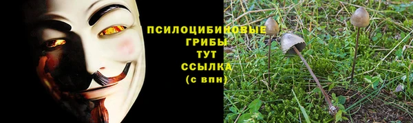 гидра Инсар