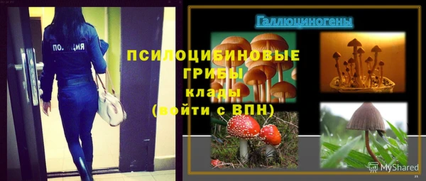 гидра Инсар